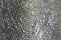 Fiddlers Hamlet fibreglass roof work